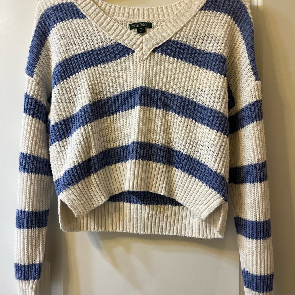 Striped V-Neck Sweater - Blue and White